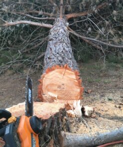 WORX WG303.1 14.5 Amp 16" Electric Chainsaw 16" 14.5Amp Electric Chainsaw 47 91AtpDbXMOL