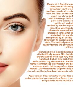Shea Terra Namibian Marula Cold-Pressed Extra Virgin Oil | Nutrient-Rich, All Natural & Organic Oil with Essential Fatty Acid and Powerful Antioxidants for Dry and Mature Skin – 2 oz 2 Fl Oz (Pack of 1) 11 91B1Wv7MoAL
