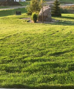 Scotts Turf Builder WinterGuard Fall Weed & Feed3, Weed Killer Plus Fall Fertilizer, 5,000 sq. ft., 14.29 lbs. 5,000 sq. ft. 39 91BCUf3opSL