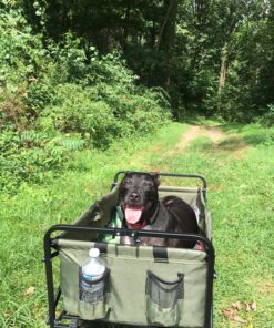 Mac Sports Folding Steel Frame Garden Utility Wagon Cart, Green (for Parts) 50 91BDZBzO7XL