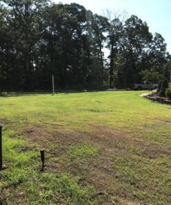 Scotts Turf Builder Grass Seed Bermudagrass, Mix for Full Sun, Built to Stand Up to Heat & Drought, 5 lbs. 5 lb. 88 91BDy3MKPZL