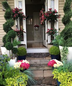 Nearly Natural 5228 Mini Bougainvillea Topiary Beauty, 5-Feet,9" x 9" x 62.5" , Green Plant 34 91BSuE9h4fL