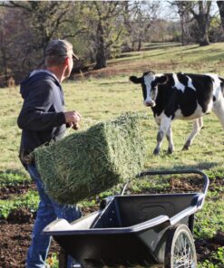 Polar 8376 Utility Cart 11 91BZoV240tL