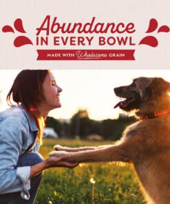 Natural Balance Ultra Premium Wet Dog Food, Beef Formula with Potatoes, Carrots & Brown Rice, 13 Ounce Can (Pack of 12) 25 91BeF9PAO9L