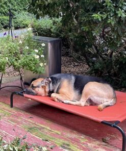 Coolaroo The Original Cooling Elevated Dog Bed, Indoor and Outdoor, Large, Terracotta 51.0"L x 31.5"W x 8.0"Th 39 91BgNU9E7qL