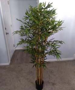 Nearly Natural 5179 5ft. Bambusa Bamboo Silk Tree, 60in. , Green 60 in 35 91BglniYz4L