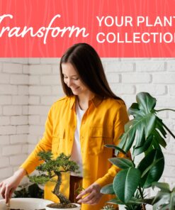 Plant Theatre Bonsai Tree Kit - Indoor Plant Growing Kit w/ 3 Mini Bonsai Seed Packs, 6 Pots, 6 Peat Discs and 6 Propagator Bags - Gardening Gifts for Men, Women and Room Decor - Crafts for Adults 36 91BhZvhMnL