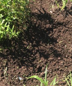 BLACK+DECKER 20V MAX* Tiller (LGC120) 20V Cultivator/Tiller Kit 31 91BpDDRbR7L