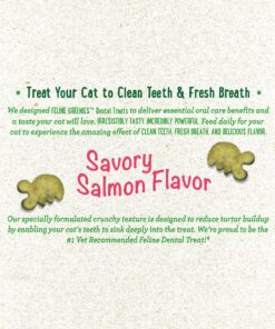 FELINE GREENIES Natural Dental Care Cat Treats Savory Salmon Flavor, 2.1oz. Pouch 18 91BpL8ltFbL