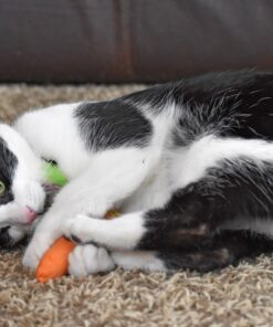 OurPets 100-Percent North American Catnip Filled Carrot Cat Toy 24 Karat OurPets 100-Percent Premium North- American Grown Cosmic Catnip Cat Toy 35 91BtYQuCKBL