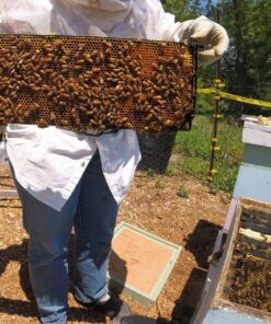 GoPro Hero5 Session, 1080p GoPro 28 91C0FkSAAcL