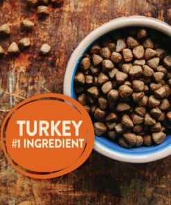 Wellness CORE Natural Grain-Free Small Breed Turkey & Chicken Dry Dog Food for Adult Dogs, High-Protein, USA-Made with Real Meat, 12-Pound Bag 12 Pound (Pack of 1) 21 91C1JQTdCvL