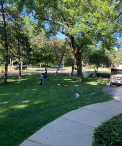 Swurfer Stand Up Tree Swing, Outdoor Swing - Swingset Outdoor for Kids with Adjustable Handles, Outdoor Swing for Kids, Outdoor Play, Durable, Weatherproof, Easy Installation, 200lbs, Ages 6 and Up Brown/Green 21 91C2VywAKoL