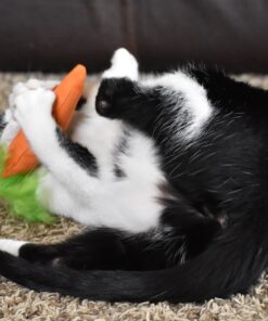 OurPets 100-Percent North American Catnip Filled Carrot Cat Toy 24 Karat OurPets 100-Percent Premium North- American Grown Cosmic Catnip Cat Toy 32 91C9b8pwdKL