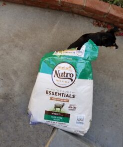 NUTRO NATURAL CHOICE Healthy Weight Adult Dry Dog Food, Lamb & Brown Rice Recipe Dog Kibble, 30 lb. Bag 56 91CEtJpoA3L