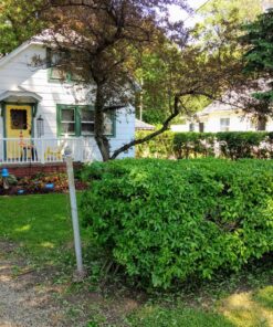 BLACK+DECKER 20V MAX Cordless Hedge Trimmer with Power Command Powercut, 22-Inch (LHT321FF) 20V Hedge Trimmer Kit 29 91CIsJh3NL