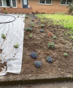 6 Inch Galvanized Landscape Staples Made in USA - 100 Metal Garden Stakes for Gardening - 11 Gauge Anti-Rust Heavy-Duty Ground Sod Pins Yard Stakes for Weed Barrier Fabric Irrigation Tubing Hose 33 91CKSN0XRZL