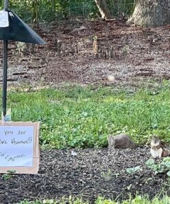 Predator Guard Squirrel Baffle - Protects Hanging Bird Feeders and Poles - Raccoon and Squirrel Proof Your Bird Feeders and Bird Houses - Anti-Rust Galvanized Steel - 17 inch 32 91CdA24HhfL