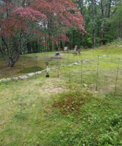 MidWest Homes for Pets Foldable Metal Dog Exercise Pen / Pet Playpen, Black w/ door, 24'W x 48'H, 1-Year Manufacturer's Warranty 48" H 33 91CleMvXe5L