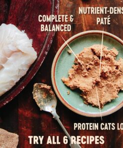 Wellness CORE Grain-Free Wet Cat Food, Natural Canned Food for Cats, Made with Real Meat (Indoor, Chicken, 5.5 oz Cans, Pack of 24) 5.5 Ounce (Pack of 24) Chicken & Chicken Liver Indoor Recipe 9 91DAPLX7OCL
