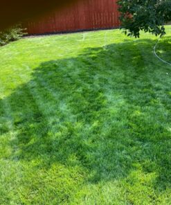 Jonathan Green (10970) Black Beauty Heavy Traffic Grass Seed - Cool Season Lawn Seed (3 lb) 3 lb 28 91DLphAoAdL