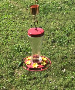 Skinny Ant Moat with Guard for Hummingbird Feeders - Gets Rid of Ants Fast in Nectar Feeder. All Natural & No Chemicals Needed. 46 91DSYFJsqL