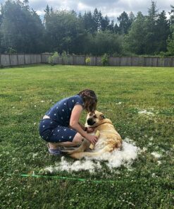 SleekEZ Original Deshedding Grooming Tool for Dogs, Cats & Horses - Undercoat Brush for Short & Long Hair - Painlessly Remove 95% of Loose Hair, Fur & Dirt - Easy to Clean - USA Made - (10 inch) 10 Inch (Pack of 1) 22 91Db9bn4DFL 1