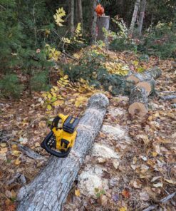 DEWALT 20V MAX* XR Chainsaw, 12-Inch, Tool Only (DCCS620B) Chainsaw Bare Tool Only 45 91DjUPGk5hL