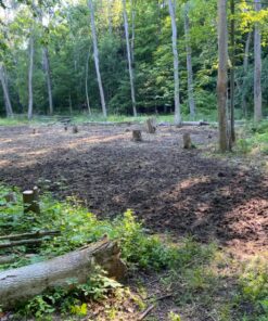 Antler King Honey Hole Mix 32 91DkJ39nDgL