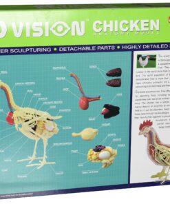 Alternative view of Tedco 4D Vision Chicken Anatomy Model