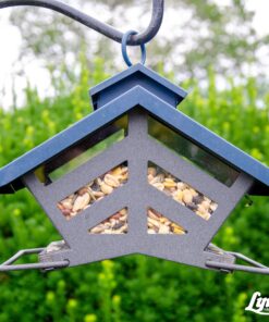 Lyric Fruit and Nut Wild Bird Seed - High Energy Wild Bird Food Mix - Attracts Woodpeckers, Chickadees & Other Songbirds - 5 lb bag 5.00 Pound (Pack of 1) 33 91DpfpuYh2L