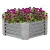 Sunnydaze 40-Inch Hexagon Galvanized Steel Raised Garden Bed Kit - Outdoor Metal Planter for Plants and Vegetables - Silver 4 91DpmCdbrNL