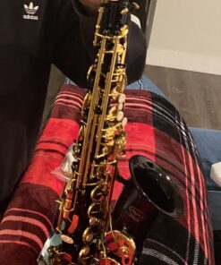 Lazarro Professional Black-Gold Keys Eb E Flat Alto Saxophone Sax, 11 Reeds, Case & Many Extras - 24 COLORS Available - 360-BK BLACK/GOLD Keys 24 91DsTkrz3DL