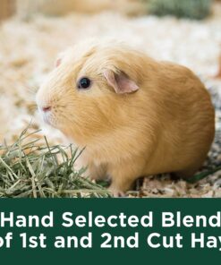 Kaytee All Natural Timothy Hay for Guinea Pigs, Rabbits & Other Small Animals, 6 Pound 6 Pound (Pack of 1) 28 91DthRMdcBL 1