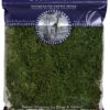 SuperMoss (21512) Preserved Sheet Moss, Fresh Green, 8oz (200 cubic inch) 200 in3 Bag (Appx. 8oz) 4 91DuW7e2jVL