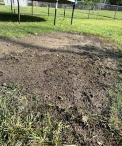 Scotts EZ Seed Patch & Repair Sun and Shade Mulch, Grass Seed, Fertilizer Combination for Bare Spots and Repair, 20 lb 20 lb. 1 Pack 44 91E kqj9VyL 1