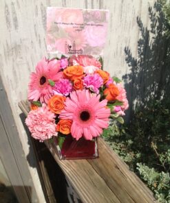 Anna and Sarah Dried Turkish Apricots SIZE #1 Big Size in Resealable Bag, 2 Lbs. 2 Pound (Pack of 1) 28 91E4q8P8VZL