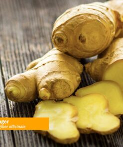 Herb Pharm Certified Organic Ginger Liquid Extract for Digestive Support - 1 Ounce 1 Fl Oz (Pack of 1) 9 91E792QDHUL