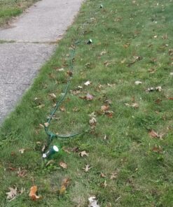 Hubbell-Bell SL101B Portable Spike Light Par 38 Bulb Bronze Finish, 75-150 Watt 31 91EDlQtLZXL