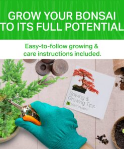 Plant Theatre Bonsai Tree Kit - Indoor Plant Growing Kit w/ 3 Mini Bonsai Seed Packs, 6 Pots, 6 Peat Discs and 6 Propagator Bags - Gardening Gifts for Men, Women and Room Decor - Crafts for Adults 37 91EHX3 cxtL
