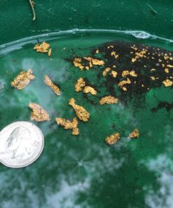 Nugget Reserve Gold Paydirt Clunker Panning Pay Dirt Bag – Gold Prospecting Concentrate 27 91EIYC1zG0L