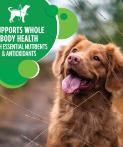 IAMS Adult Minichunks Small Kibble High Protein Dry Dog Food with Real Chicken, 15 lb. Bag 0 15 Pound (Pack of 1) 24 91ERXCPufML