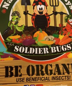 Live Beneficial Nematodes Hb+Sc+Sf - Kills Over 200 Different Species of Soil Dwelling and Wood Boring Insects. (5 Million_Nematodes) 20 91F6OrCkMBL