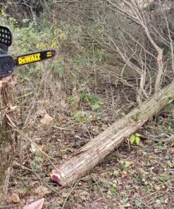 DEWALT 20V MAX* XR Chainsaw, 12-Inch, Tool Only (DCCS620B) Chainsaw Bare Tool Only 48 91FDVJPEucL