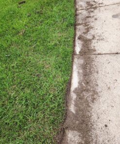 Worx Edger Lawn Tool, Electric Lawn Edger 12 Amp 7.5", Grass Edger & Trencher WG896 12-Amp 7.5" Electric Lawn Edger & Trencher 44 91FMs6dcQL