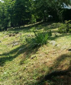 MaxPower 3317233 PivoTrim Universal Replacement Head, 3 x 3 (.080 - .095 IN) fits line sizes, Multicolor 39 91FXLDvnxRL