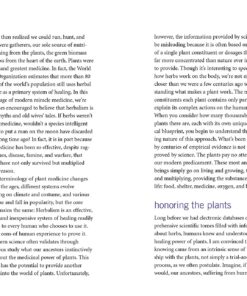 Rosemary Gladstar's Herbal Recipes for Vibrant Health: 175 Teas, Tonics, Oils, Salves, Tinctures, and Other Natural Remedies for the Entire Family 24 91FdgQqJUL