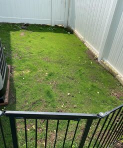 Scotts Turf Builder WinterGuard Fall Lawn Fertilizer for All Grass Types, 5,000 sq. ft., 12.5 lbs. 5,000 sq. ft. 34 91G4HL2ucZL