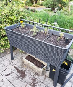 Keter Easy Grow 31.7 Gallon Raised Garden Bed with Self Watering Planter Box and Drainage Plug-Perfect for Growing Fresh Vegetables, Flowers and Herbs Graphite 34 91G67xX qoL