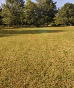 MaxPower 561739B 2-Blade Set for 46" Cut Craftsman, Husqvarna, Poulan Replaces 405380, 532-405380, PP21011,Black 38 91GBVnbqaoL